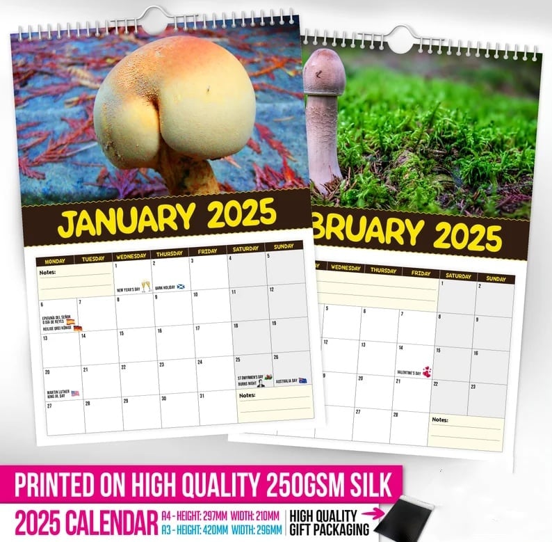 🔥LSAT DAY 50% OFF - 🍄World's Greatest Mushrooms 2025 Calendar