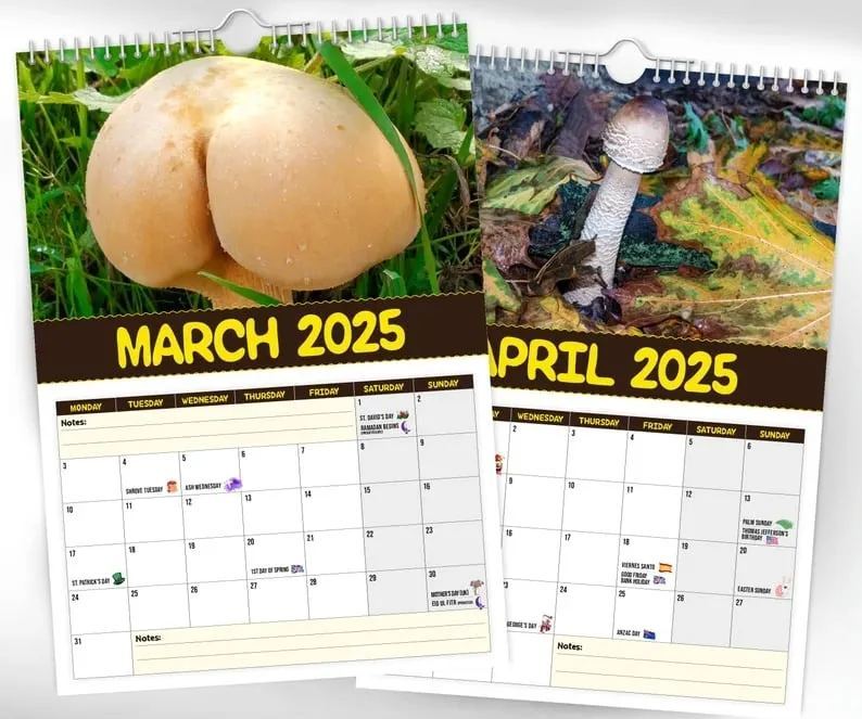 🔥LSAT DAY 50% OFF - 🍄World's Greatest Mushrooms 2025 Calendar