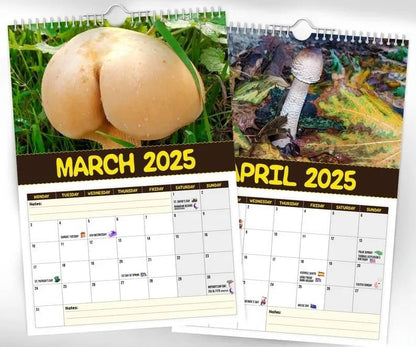 🔥LSAT DAY 50% OFF - 🍄World's Greatest Mushrooms 2025 Calendar