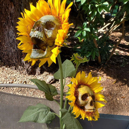 Spooky Sunflower Skull Garden Decoration Set