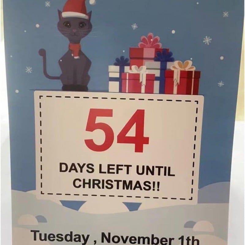 🎄100 Days of Christmas Countdown Calendar 2024