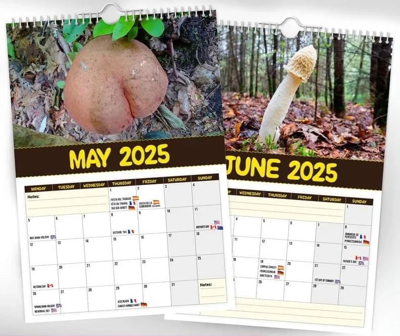 🔥LSAT DAY 50% OFF - 🍄World's Greatest Mushrooms 2025 Calendar
