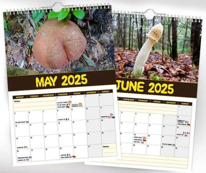 🔥LSAT DAY 50% OFF - 🍄World's Greatest Mushrooms 2025 Calendar
