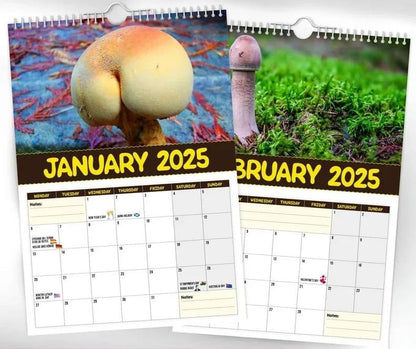 🔥LSAT DAY 50% OFF - 🍄World's Greatest Mushrooms 2025 Calendar